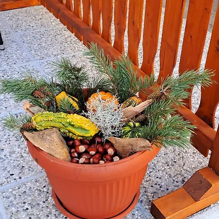 Apartma Jana Apartmán