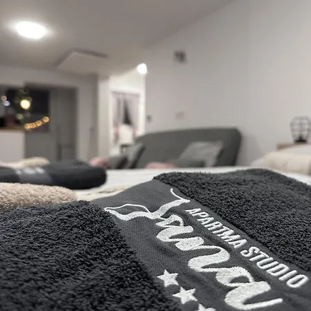 Apartma Jana Краньска Гора