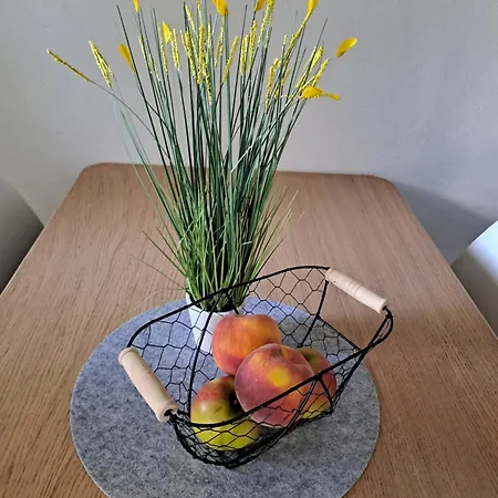 Apartmán Apartma Jana