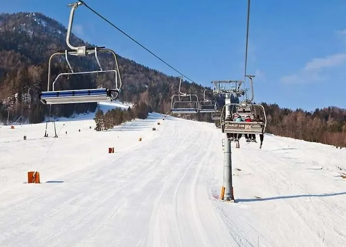 Apartma Jana Daire Kranjska Gora